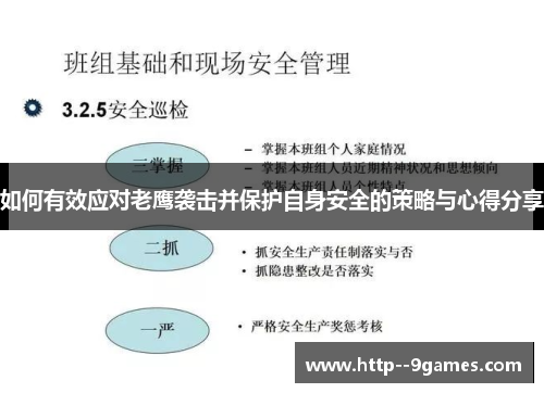 如何有效应对老鹰袭击并保护自身安全的策略与心得分享 如何有效应对老鹰袭击并保护自身安全的策略与心得分享